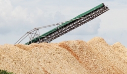 Một phụ nữ tử vong vì máy nghiền dăm cuốn